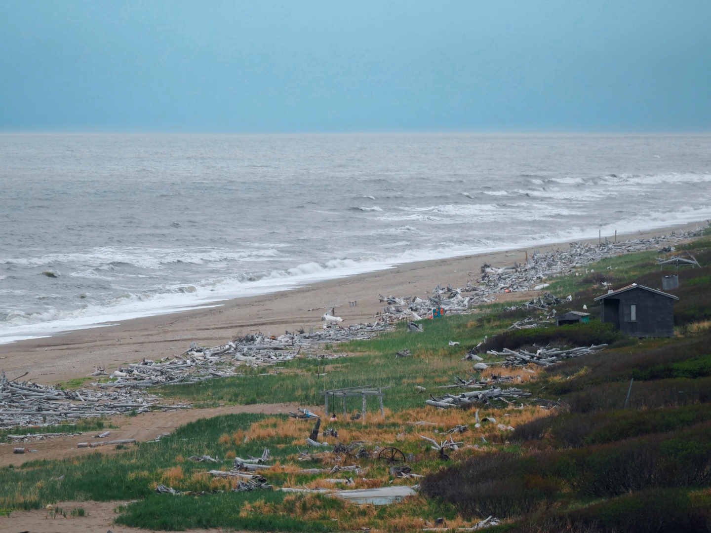 nome_driftwood_beach.jpg