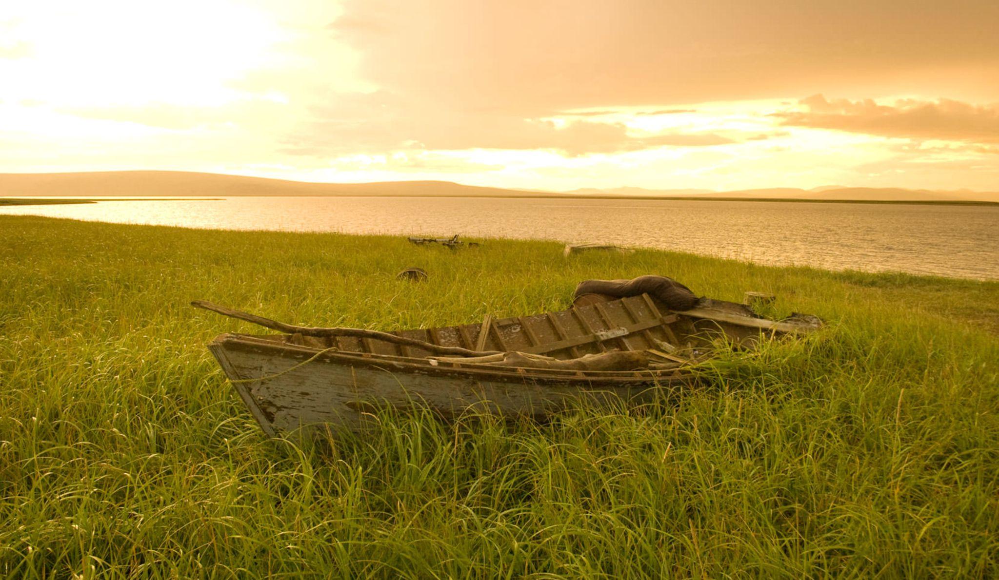 rowboat_grass_golden_hour.jpg