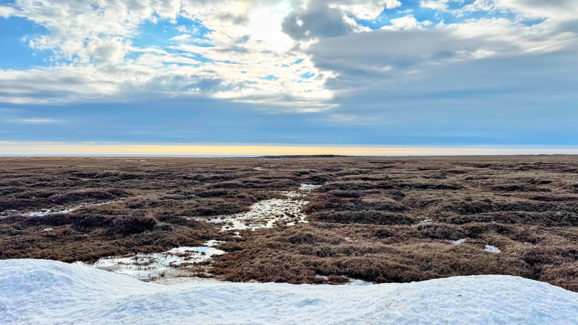 tundra_at_solstice.jpg