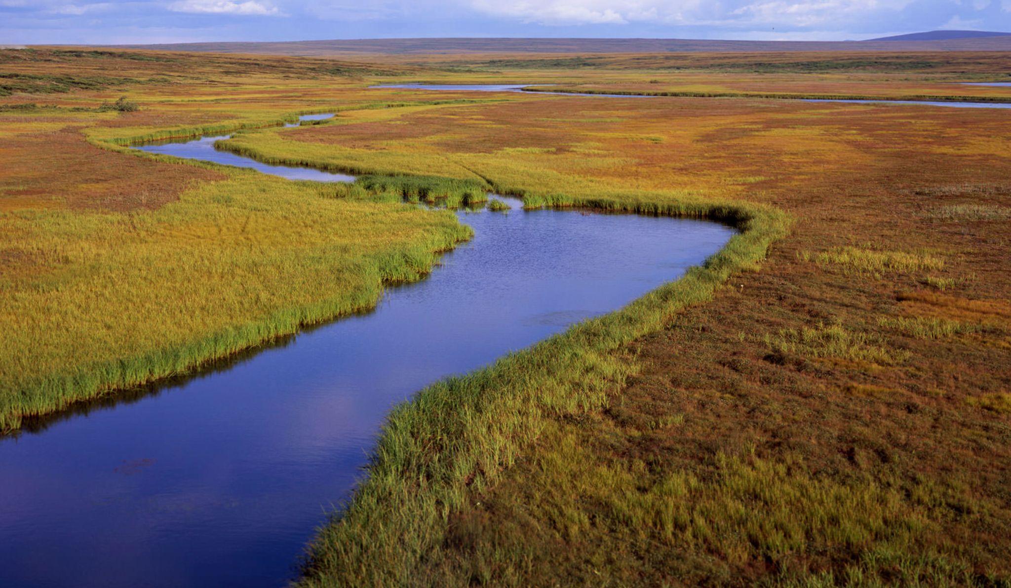tundra_river_meander.jpg