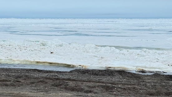 utqiagvik_seaice_edge.jpg